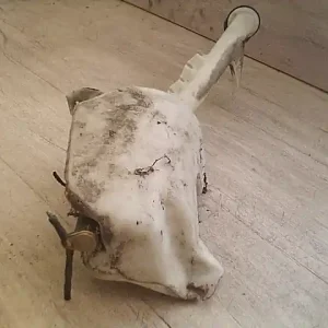 Vásárlói kedvenc PEUGEOT PARTNER -02 Ablakmosó tartály 1 motoros bontott alkatrész