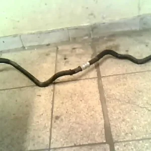 Azonnali szállítás RENAULT KANGOO 97-03 Szervócső bontott alkatrész