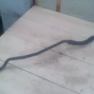 BMW E65 02.09.01-08.09.30 Olajcső automata,3.0td bontott alkatrész Árengedmény