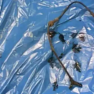 FORD FOCUS 98-04 Első abs jeladóbontott alkatrész Árengedmény