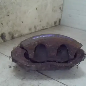 Különleges ajánlat FORD TRANSIT 86-91 Jobb első féknyereg munkahengerrel bontott alkatrész