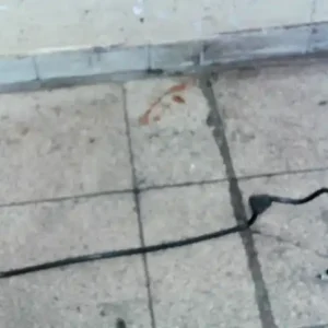 MERCEDES W220 S 320 CDI Fék vákuumcső 3.2cdi bontott alkatrész Alacsony ár