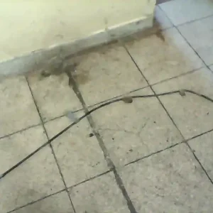 Azonnal elérhető NISSAN ALMERA TINO Kézifék kötél bowden bontott alkatrész